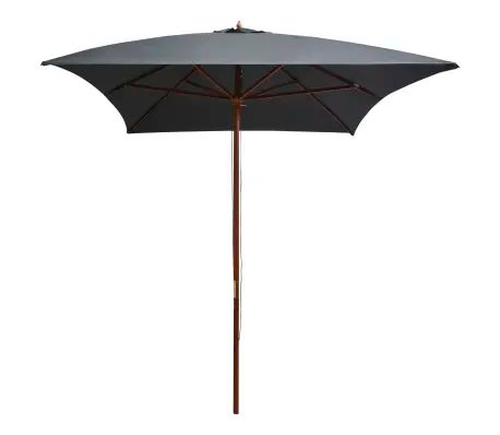 VidaXL parasol, antraciet, 2 x 3 meter