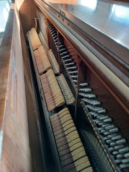 Hillgärtner piano + krukje, B x D x H 145 x 60 x 130 cm