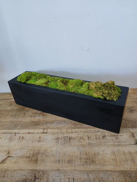 Decoratieve plantenbak met mos, zwart, 80 x 20 x 20 cm
