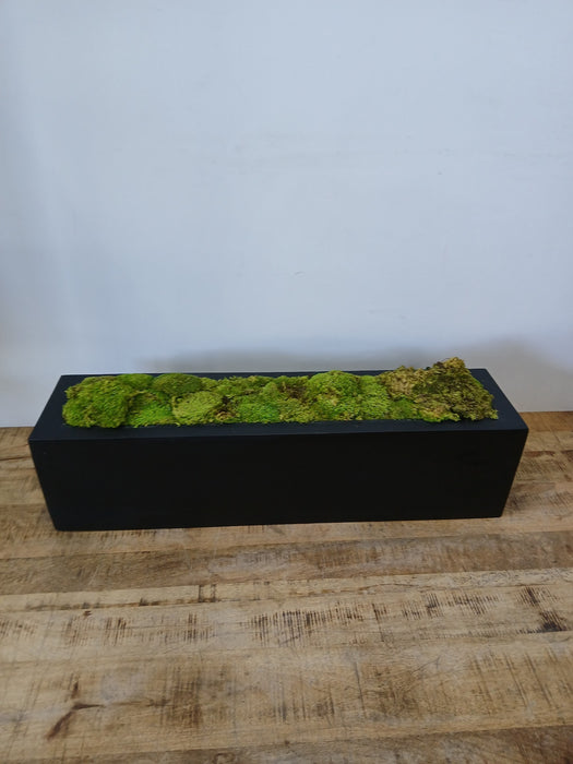 Decoratieve plantenbak met mos, zwart, 80 x 20 x 20 cm