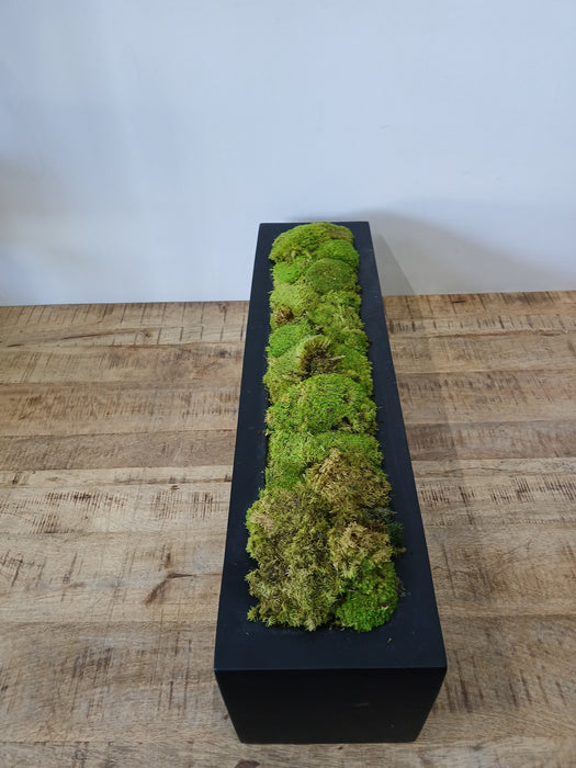 Decoratieve plantenbak met mos, zwart, 80 x 20 x 20 cm