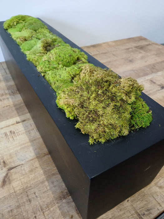 Decoratieve plantenbak met mos, zwart, 80 x 20 x 20 cm