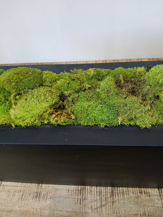 Decoratieve plantenbak met mos, zwart, 80 x 20 x 20 cm