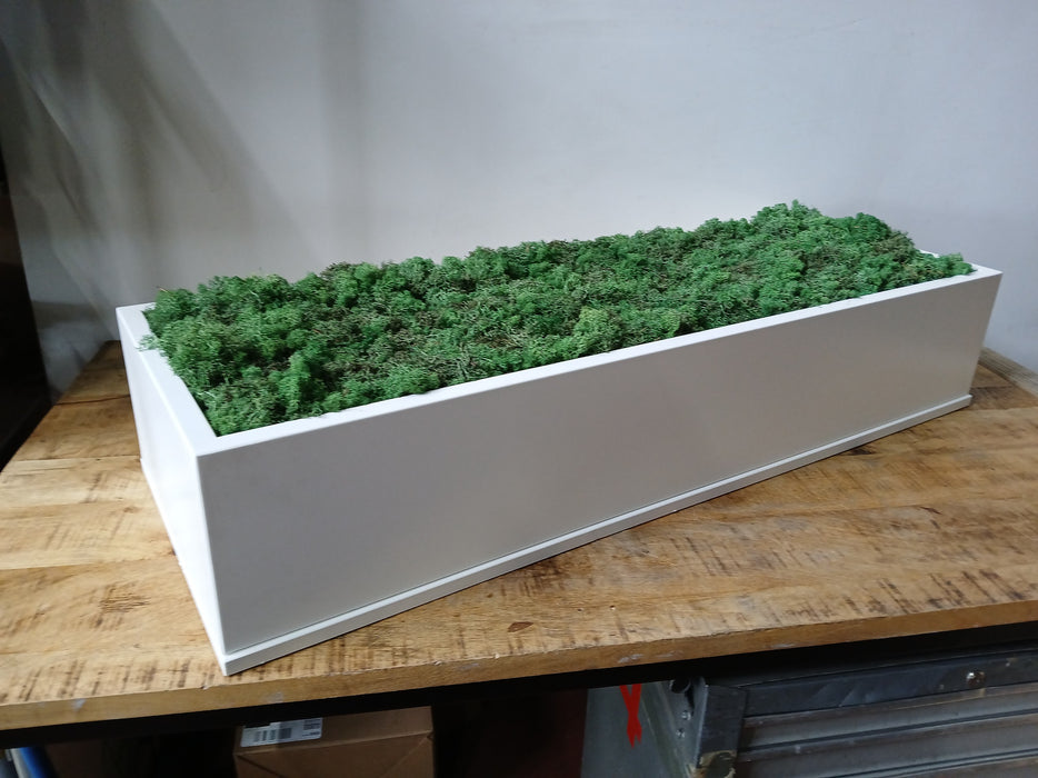 Mos decoratie in plantenbak, wit staal, B x D x H 120 x 43 x 23 cm
