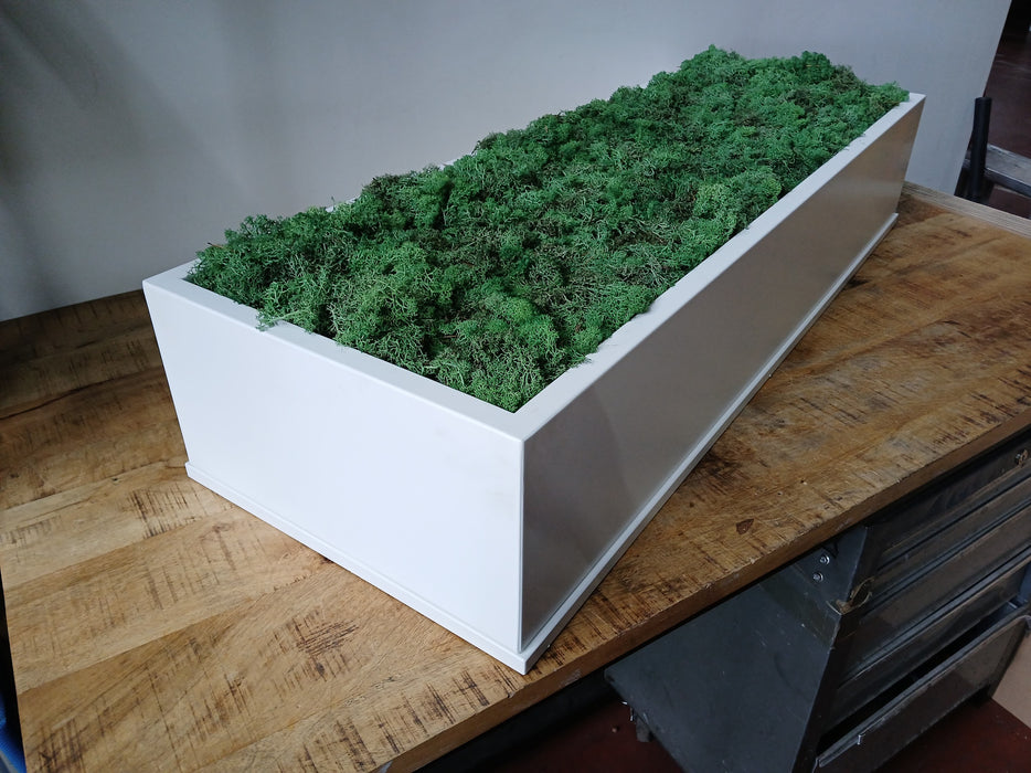 Mos decoratie in plantenbak, wit staal, B x D x H 120 x 43 x 23 cm