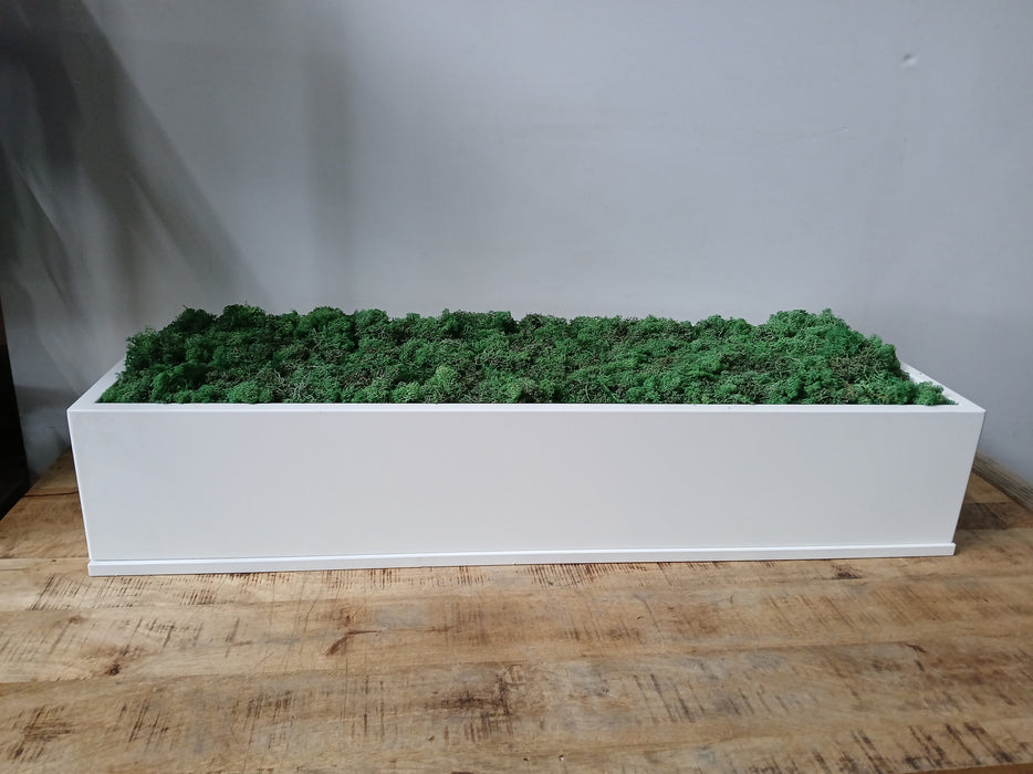 Mos decoratie in plantenbak, wit staal, B x D x H 120 x 43 x 23 cm