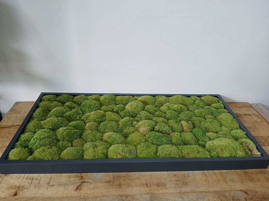 Nieuwkoop mosschilderij, 120 x 60 x 6 cm