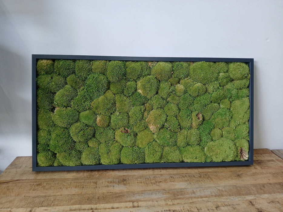 Nieuwkoop mosschilderij, 120 x 60 x 6 cm
