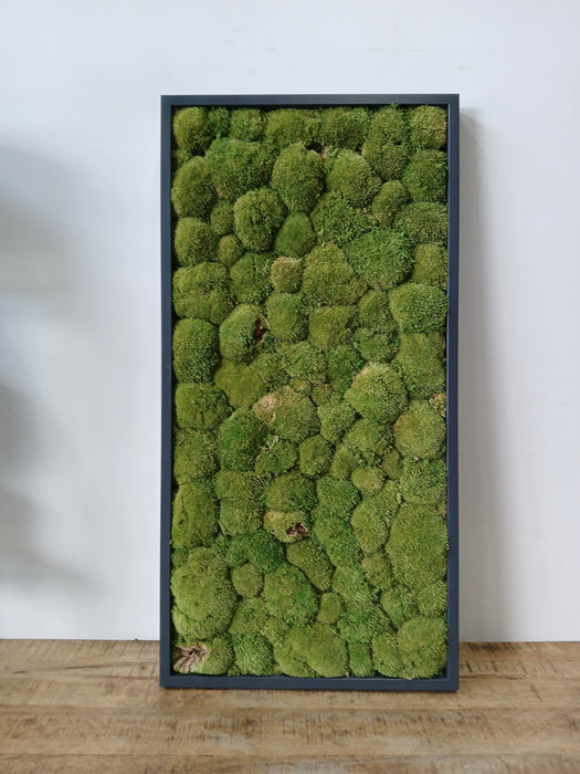 Nieuwkoop mosschilderij, 120 x 60 x 6 cm
